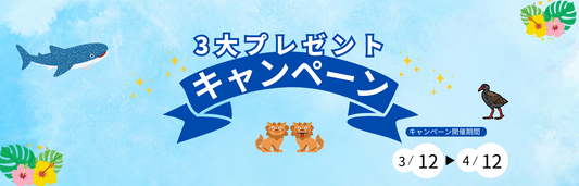【キャンペーン】サイト登録で!3大プレゼントキャンペーン