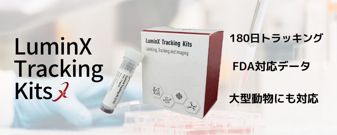 特許技術で180日追跡!細胞トラッキング試薬「LuminX Tracking Kits」