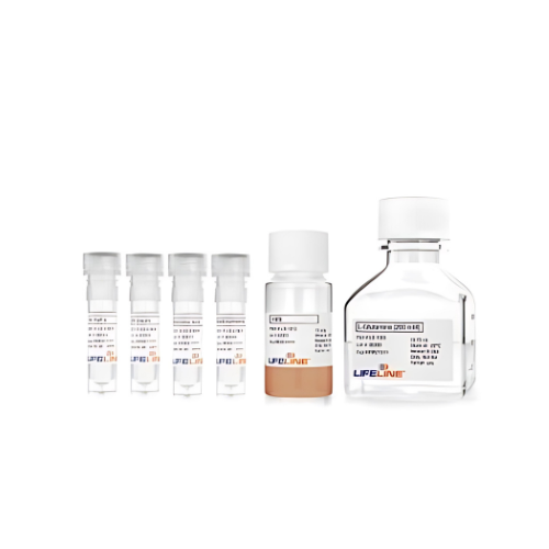 FibroLife S2 LifeFactors - NexCulture