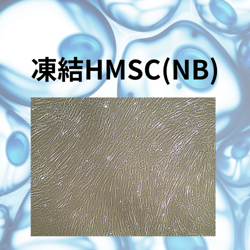 凍結HMSC(NB)