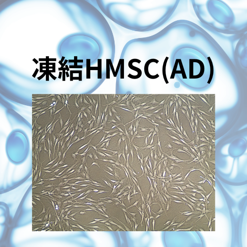 凍結HMSC(AD)