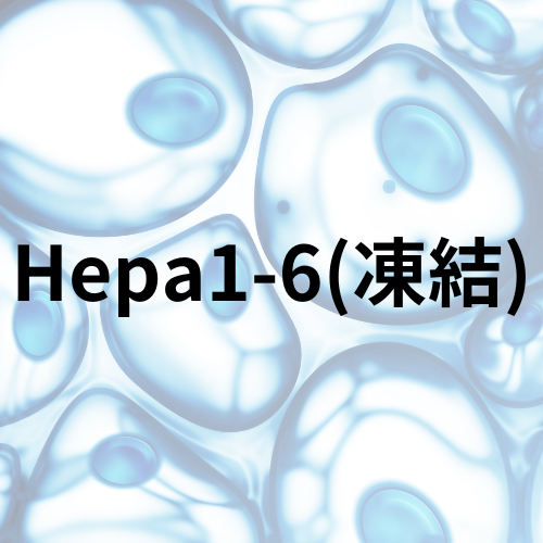 Hepa 1-6(凍結)EC92110305-F0