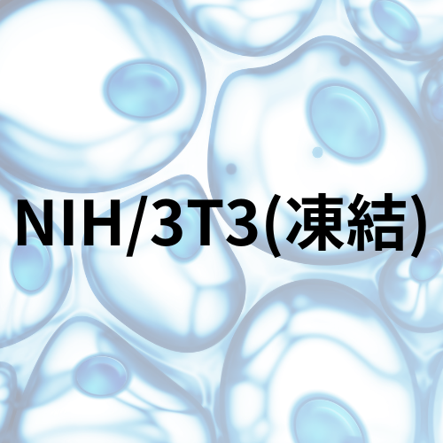 NIH/3T3(凍結)EC93061524-F0