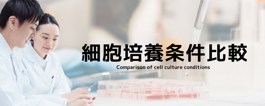 【細胞培養条件比較】NIH3T3