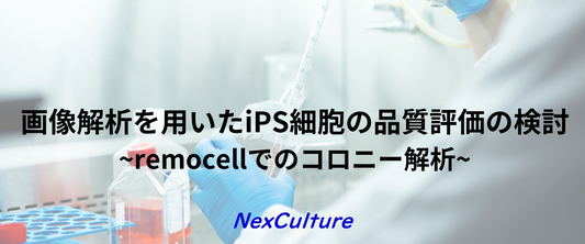 【共同研究】画像解析を用いたiPS細胞の品質評価