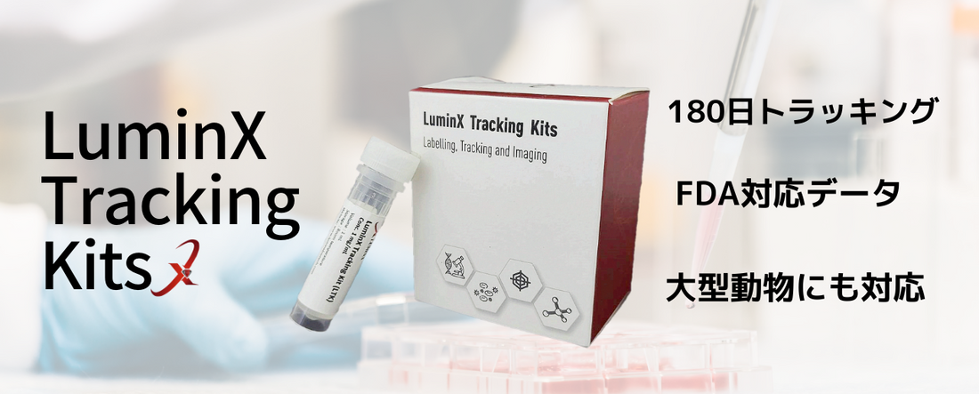 特許技術で180日追跡！細胞トラッキング試薬「LuminX Tracking Kits」