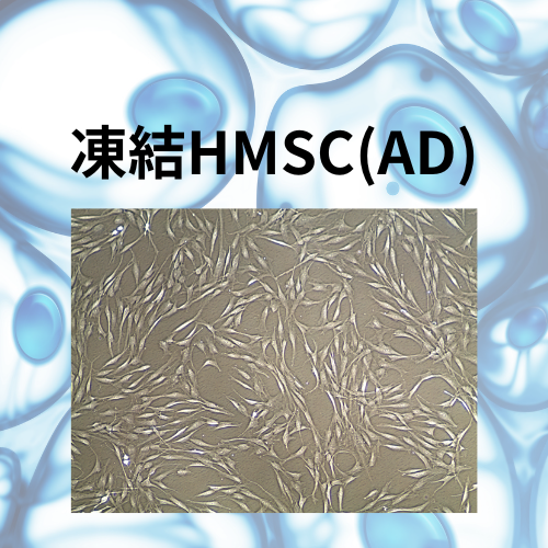 凍結HMSC（AD）