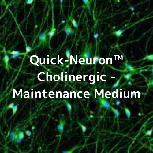 Quick-Neuron™ Cholinergic - Maintenance Medium