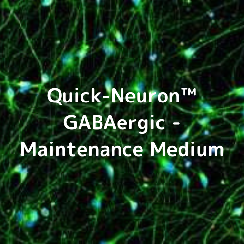 Quick-Neuron™ GABAergic - Maintenance Medium