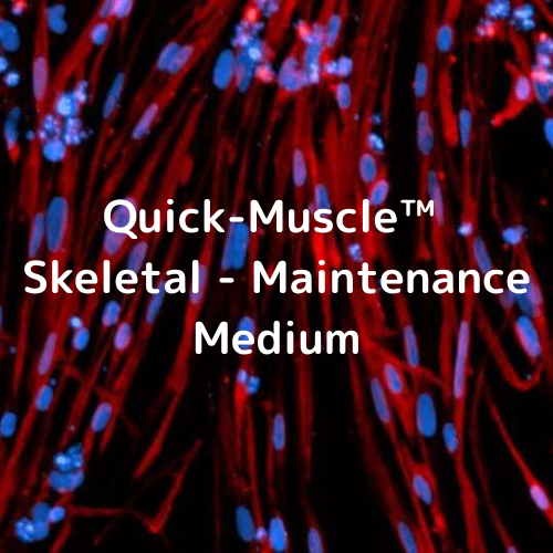 Quick-Muscle™ Skeletal - Maintenance Medium