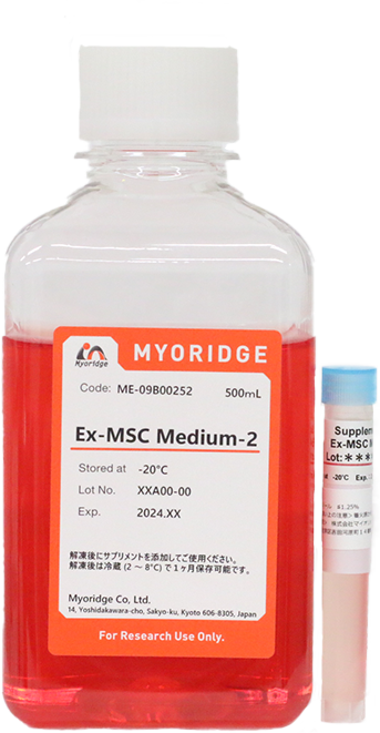 Ex-MSC Medium 2