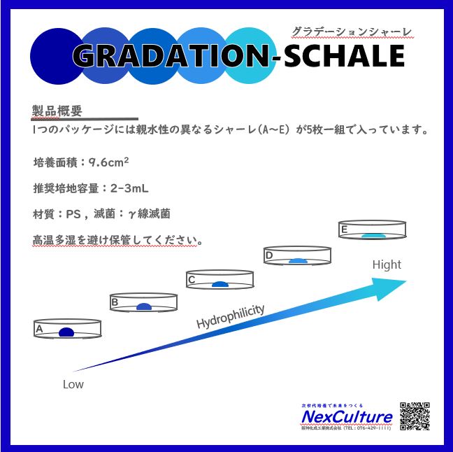 GRADATION-SCHALE